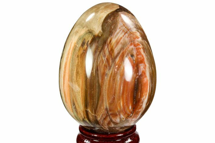 Colorful, Polished Petrified Wood Egg - Triassic #107388